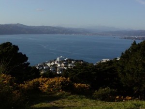 thumbnail_wellington_593599551_1373888081